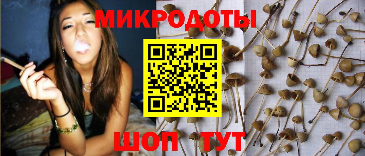 Калуга  Псилоцибиновые грибы Cubensis  Галлюциногенные грибы мухоморы  Вход с VPN 