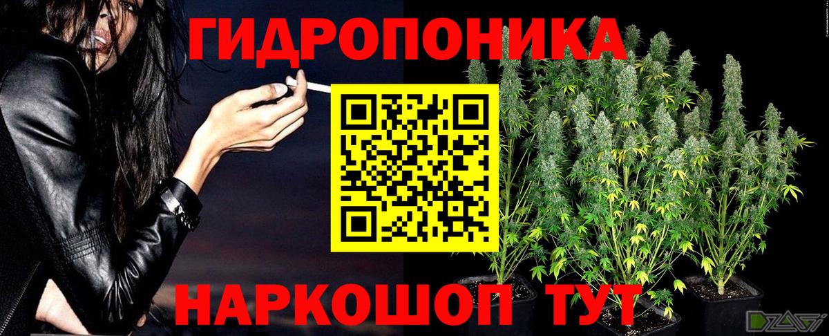МАРИХУАНА OG Kush Калуга
